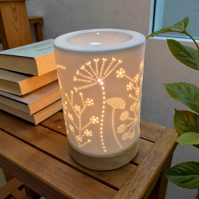 FORNELLO ELETTRICO IN CERAMICA