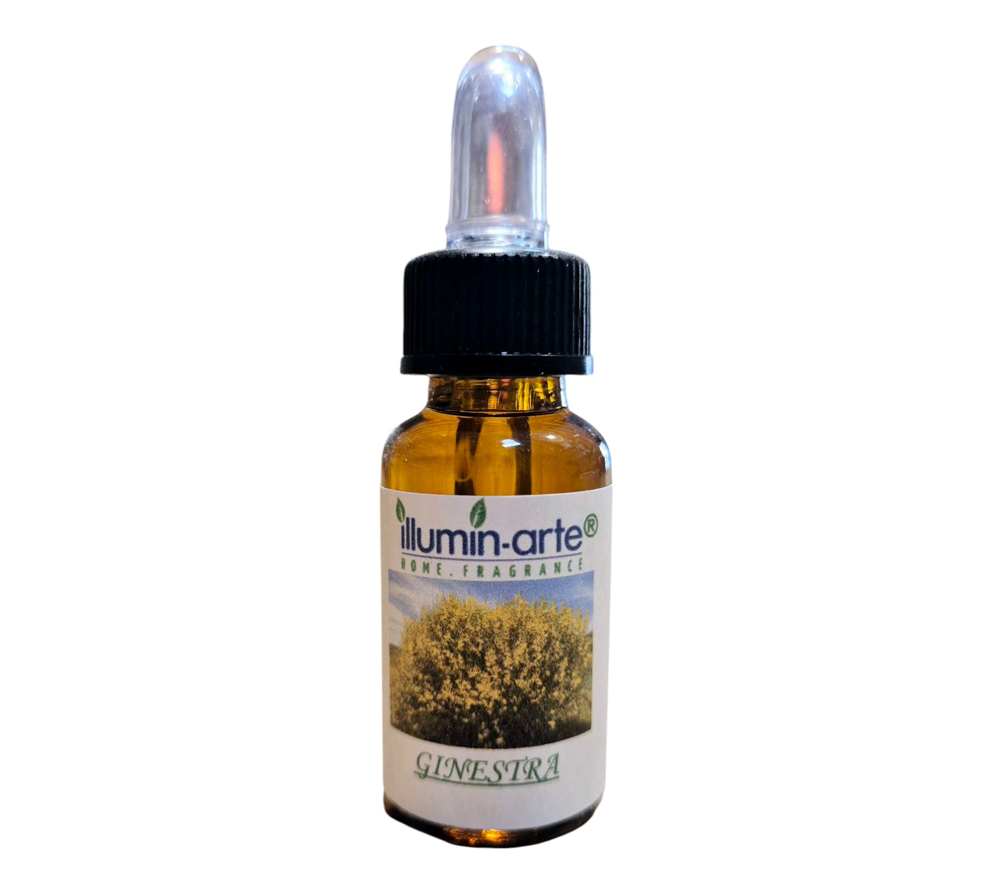 Ginestra 10ML