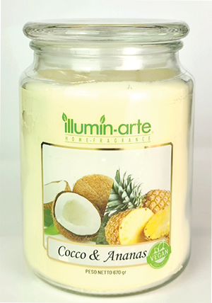 Cocco e Ananas