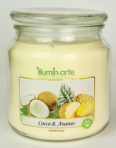 Cocco e Ananas