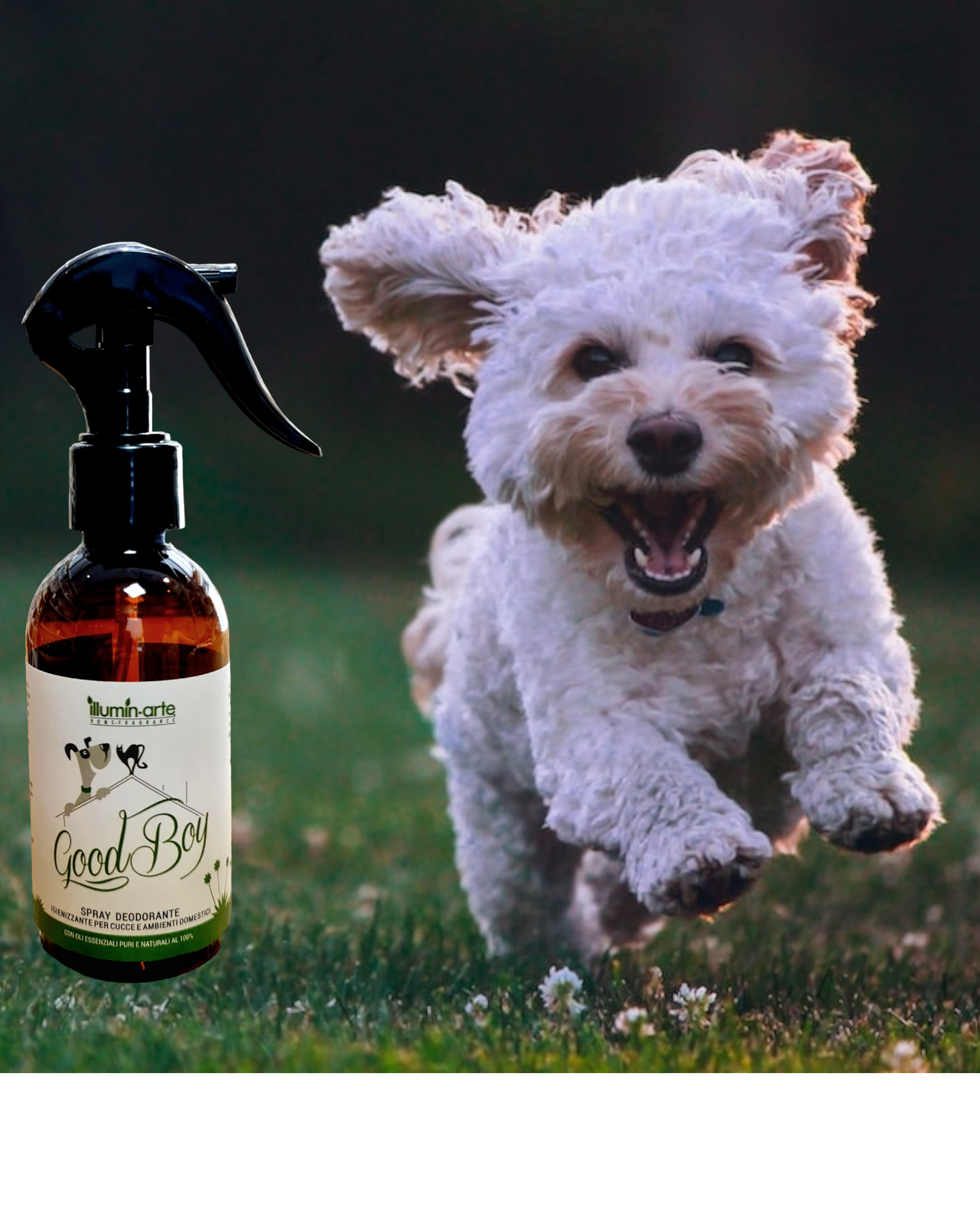Good boy dog refreshing spray outlet