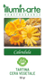 Calendula