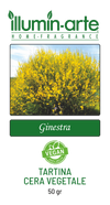 Ginestra