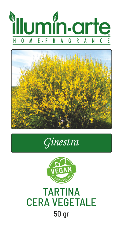 Ginestra