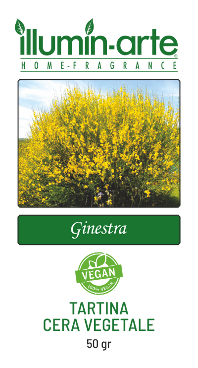 Ginestra