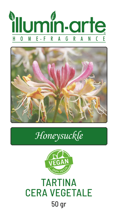 Honeysuckle