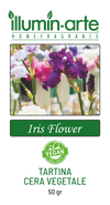 Iris Flower