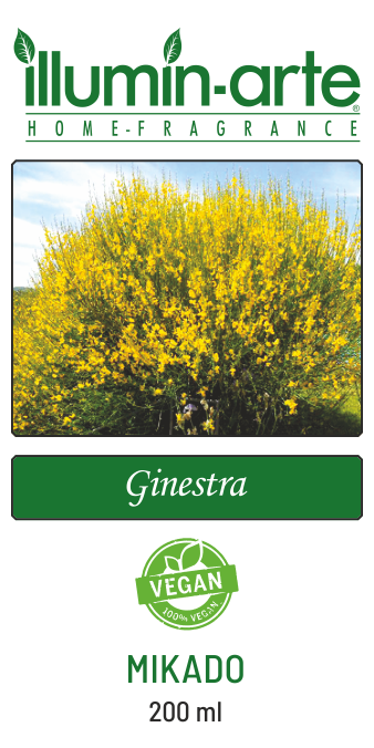 Ginestra Mikado 200ml