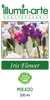 Iris Flower Mikado 200ml